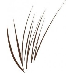 ARDELL BEAUTY pisak do brwi Stroke a Brow ciemnobrązowy